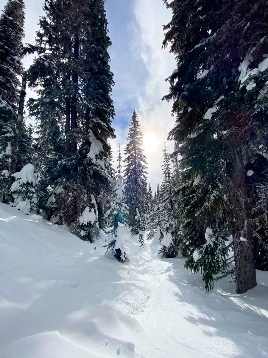 SHRED_ENT's tweet photo. The spring pow was deep yesterday up on the gem chair, get up to big white soon while the snows still blower! @wiredsnow @HMSCHL @BigWhite #wiredsnowboards #dangeyewear #producttesting #homeschoolouterwear #powabunga https://t.co/sQFLDdvqPV