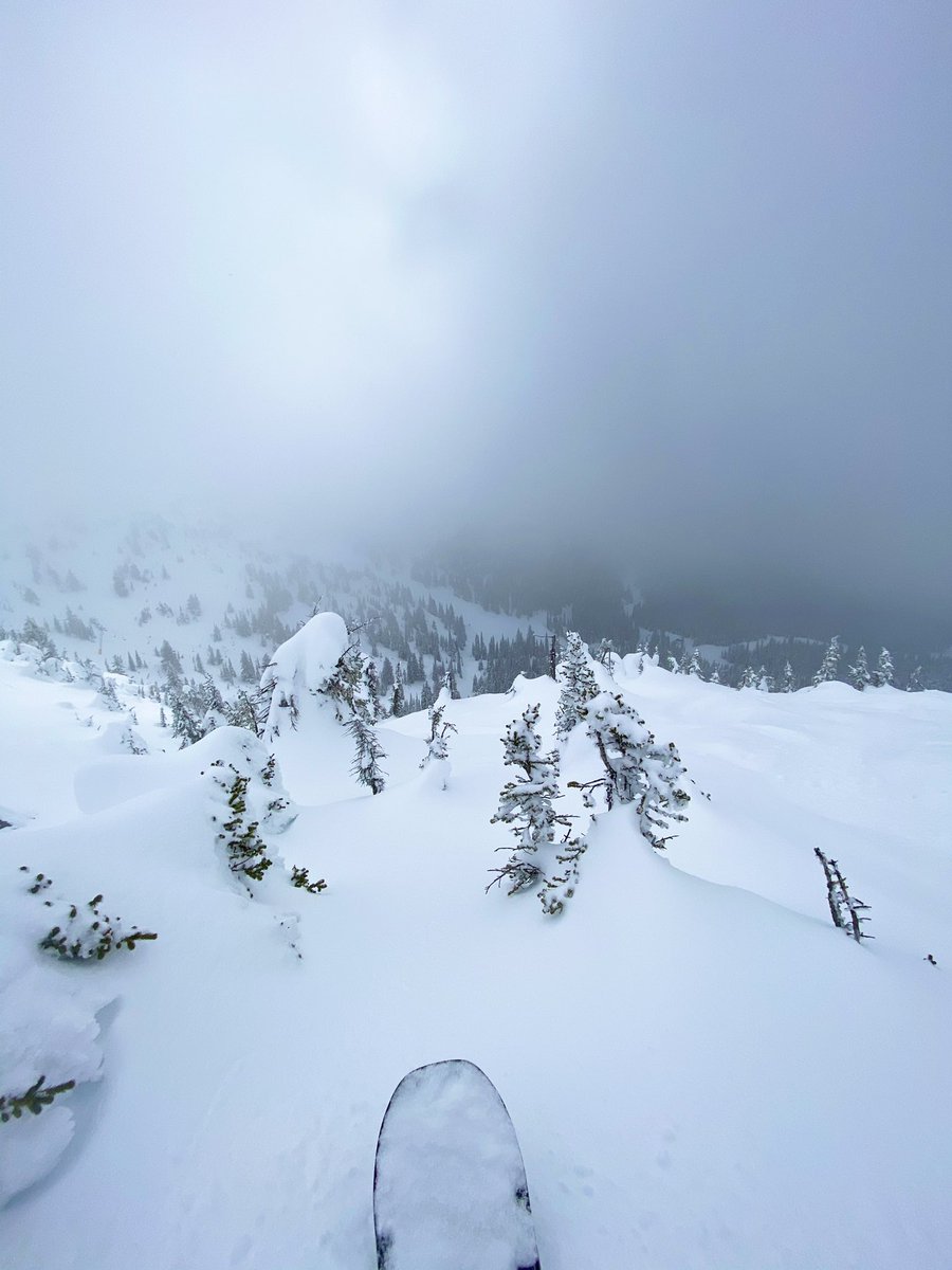 SHRED_ENT's tweet photo. The spring pow was deep yesterday up on the gem chair, get up to big white soon while the snows still blower! @wiredsnow @HMSCHL @BigWhite #wiredsnowboards #dangeyewear #producttesting #homeschoolouterwear #powabunga https://t.co/sQFLDdvqPV