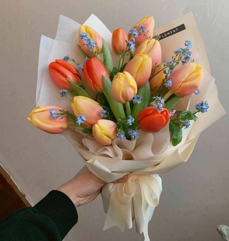 itgirlonfilm's tweet photo. buy yourself flowers, you deserve it 💐 https://t.co/SiK7cVeCNo