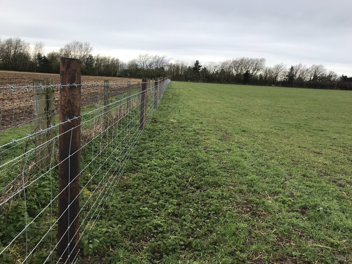 JamesWTMurray's tweet photo. End of the week marks completion of a further two paddocks stock fenced for an existing customer. All pressure treated creosote timber and r8-80-22 lamb safe ultimate stock fence with two strands of barbed wire. 
 Solo Fencing Systems solonet came into a league of it own https://t.co/lkTbtYp8gI