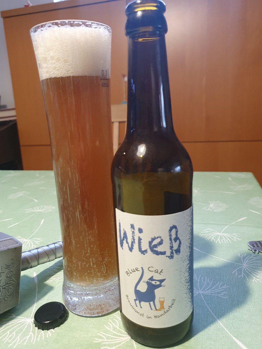 Thomas Majorosi tweet media