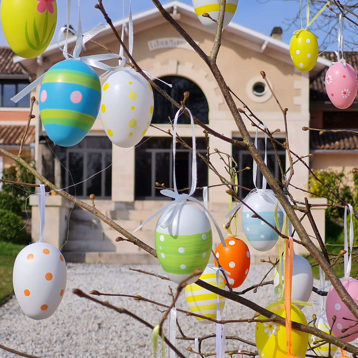 A l'approche de Pâques, pour célébrer l'arrivée du Printemps, nos arbres se parent de belles couleurs !
Le samedi 3 avril prochain, venez découvrir nos Arbres de Pâques.
#pessacleognan #bordeaux #bordeauxmaville #event #paques #wine #vin #osterbaum