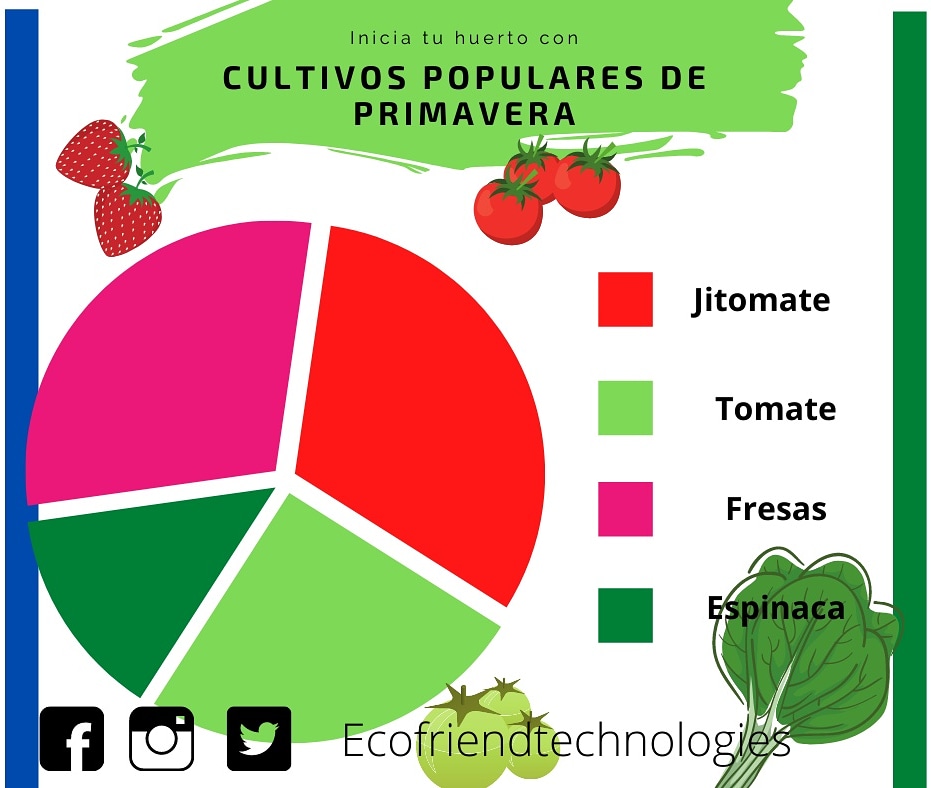 EcofriendT's tweet photo. Con la llegada de la #Primavera2021 y la #Composta no hay excusas para no tener un #HuertoEnCasa. Puedes comenzar uno con los siguientes cultivos ya que se dan en esta temporada y son bastante fáciles. 😉✌🏼

#Ecotech https://t.co/hV9llte4we