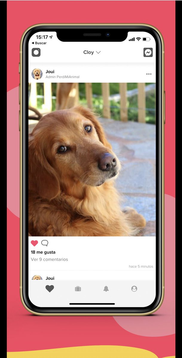 petcloy's tweet photo. Creá un perfil a tu mascota desde nuestra app y hacele un bonito feed 🥰 https://t.co/fFdptSmo81
•
•
•
#mascotas #pets #animals #animales #social https://t.co/3kUe79hpvi