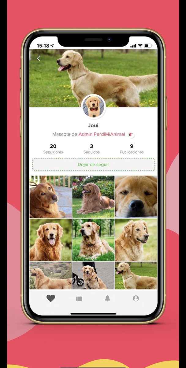 petcloy's tweet photo. Creá un perfil a tu mascota desde nuestra app y hacele un bonito feed 🥰 https://t.co/fFdptSmo81
•
•
•
#mascotas #pets #animals #animales #social https://t.co/3kUe79hpvi
