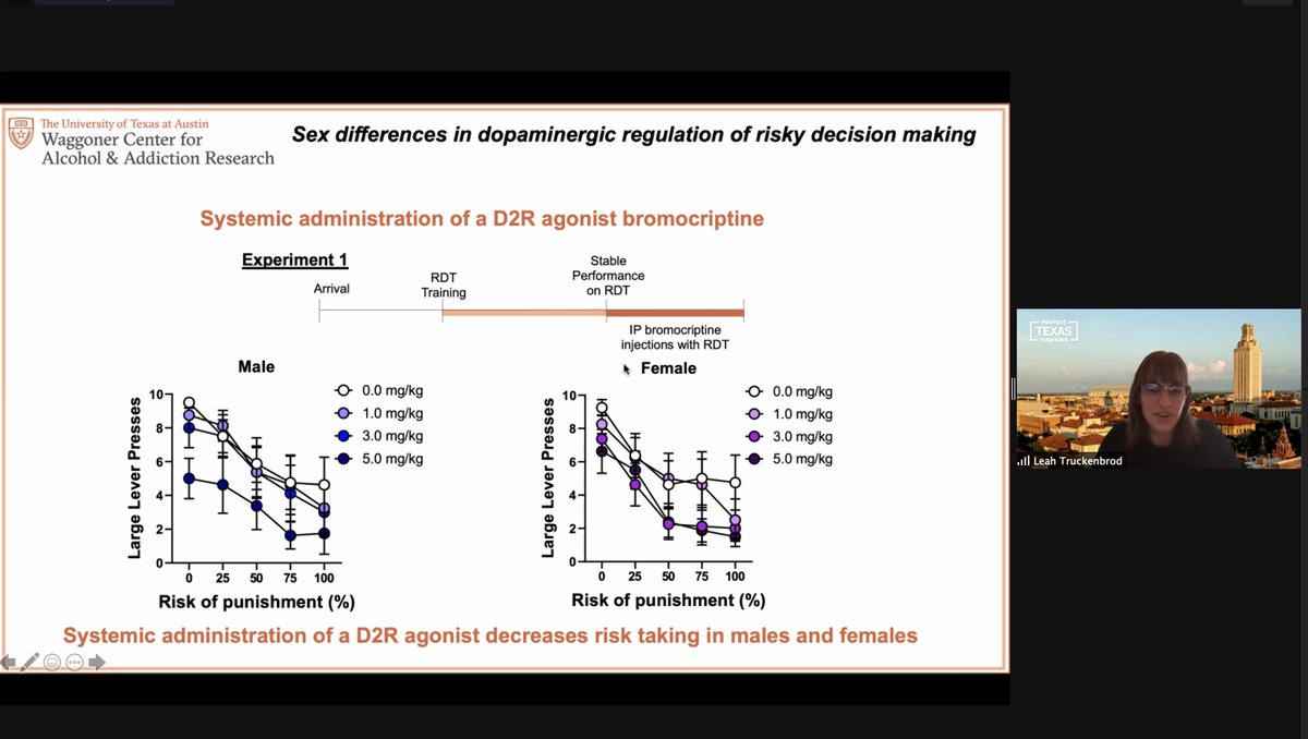 TexasWCAAR's tweet photo. The 8th Annual Waggoner Center Advance, our annual research showcase, is today! Here's grad student Leah Truckenbrod presenting "Sex differences in dopaminergic regulation of risky decision making." View her poster and all others here: https://t.co/oIRek6HRcl Great job, Leah! https://t.co/7KyMQVLEjf