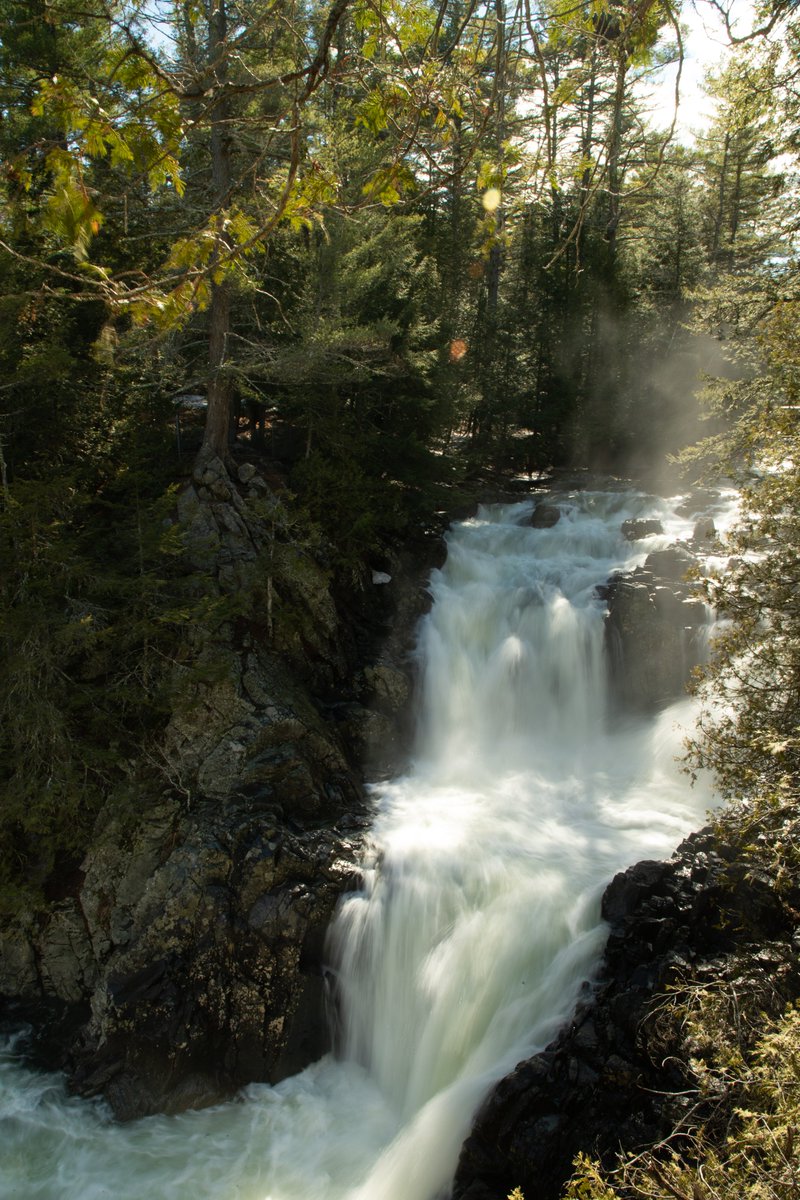 Spring is waterfall season! Check out the waterfall challenge here: bit.ly/3csj1I1