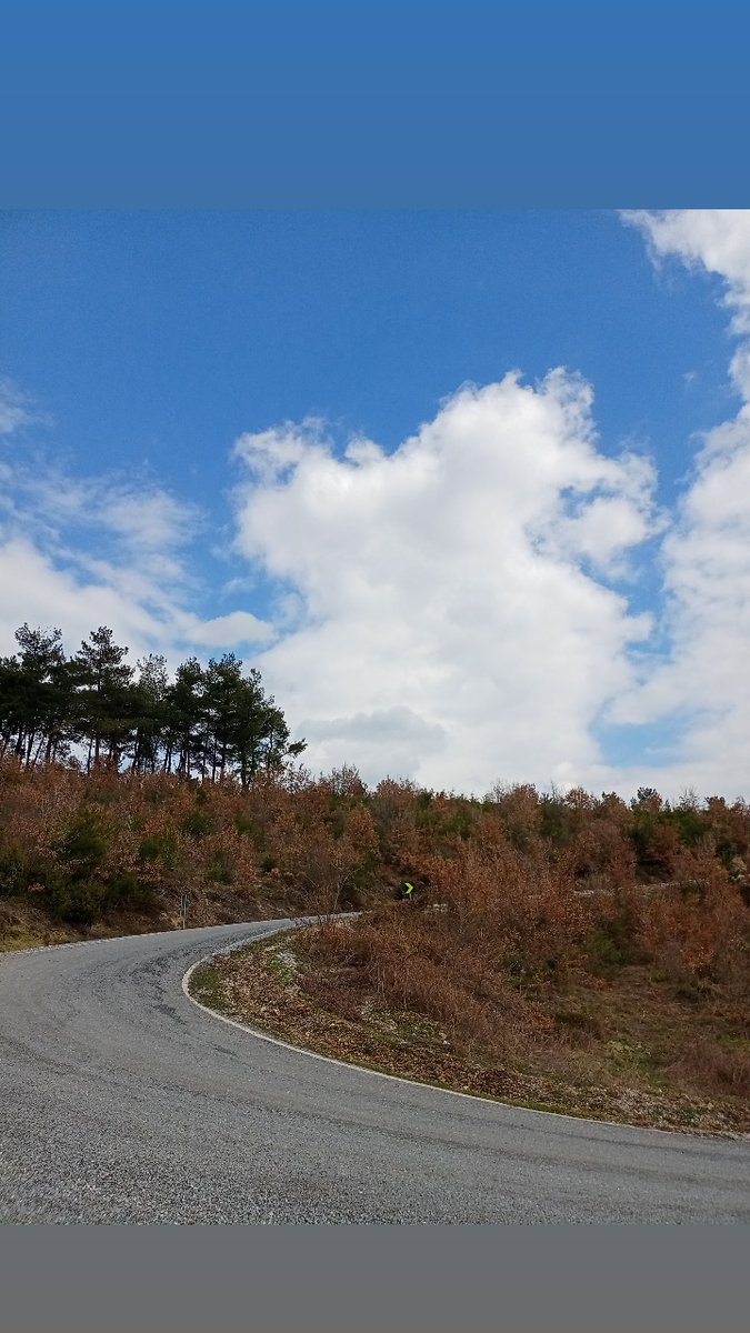 maviisimli's tweet photo. Güzel günler göreceğiz güneşli günler 🍀 https://t.co/dNxTUryk4m