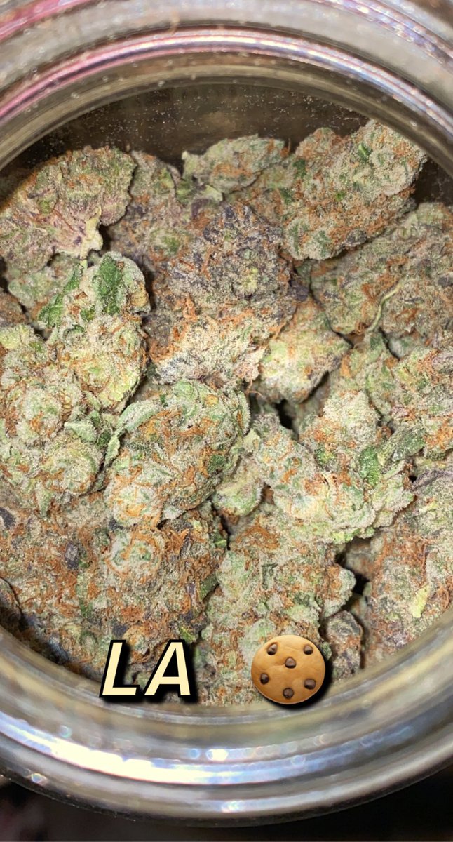 EZ7King420's tweet photo. It’s been a while y’all, sorry been a lot of stuff going on with my life. But finally a little something for this lovely #FriDAZE OR #FrHIGHday Which of these 3 strains would you smoke first?  #CaliStoner #topshelflife #StonerFam #growyourown #IamGDC #potporn #HighLifeLiving https://t.co/ltpsyN9mtH