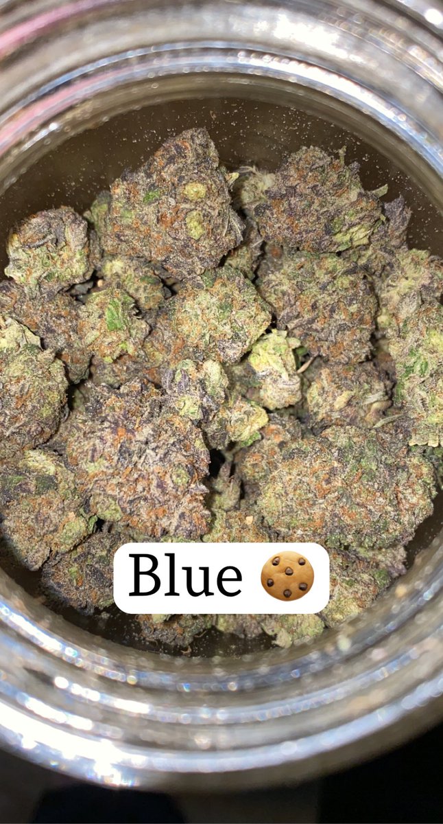 EZ7King420's tweet photo. It’s been a while y’all, sorry been a lot of stuff going on with my life. But finally a little something for this lovely #FriDAZE OR #FrHIGHday Which of these 3 strains would you smoke first?  #CaliStoner #topshelflife #StonerFam #growyourown #IamGDC #potporn #HighLifeLiving https://t.co/ltpsyN9mtH