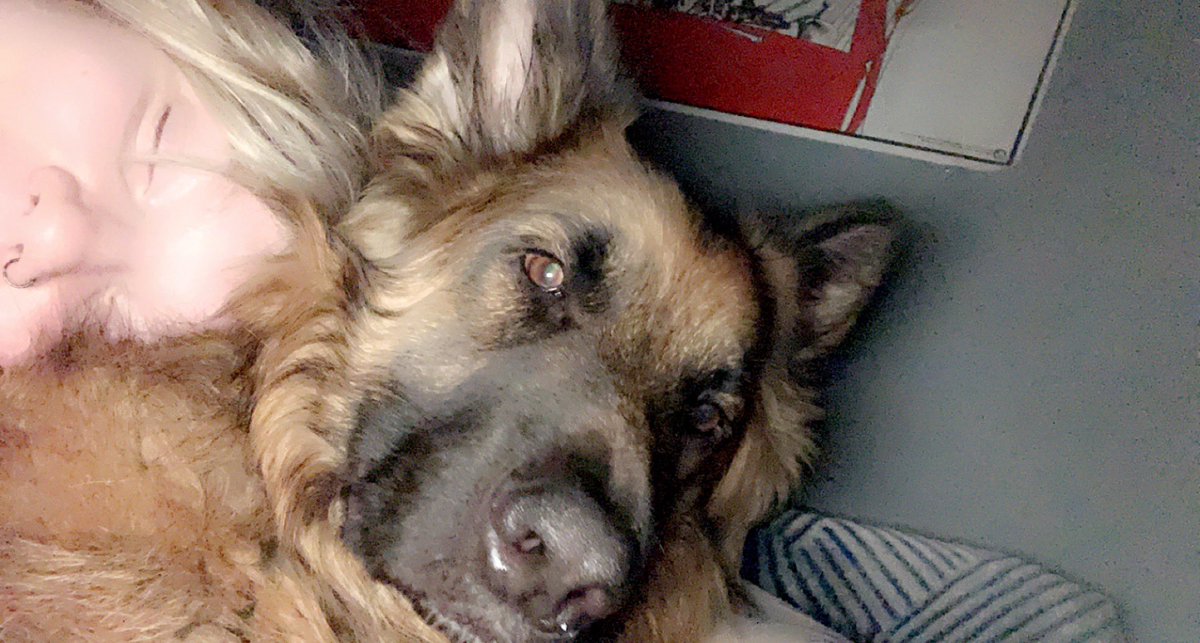 SavannahWolfor's tweet photo. Rest In Peace to my sweet boy Lucian. He was the best dog in the world. https://t.co/QaiDNKi9CK