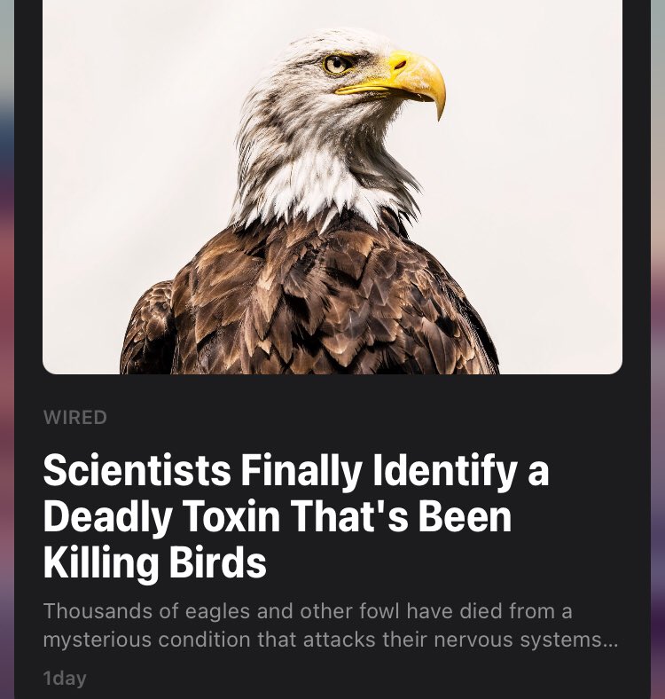 Eagles Nation tweet media