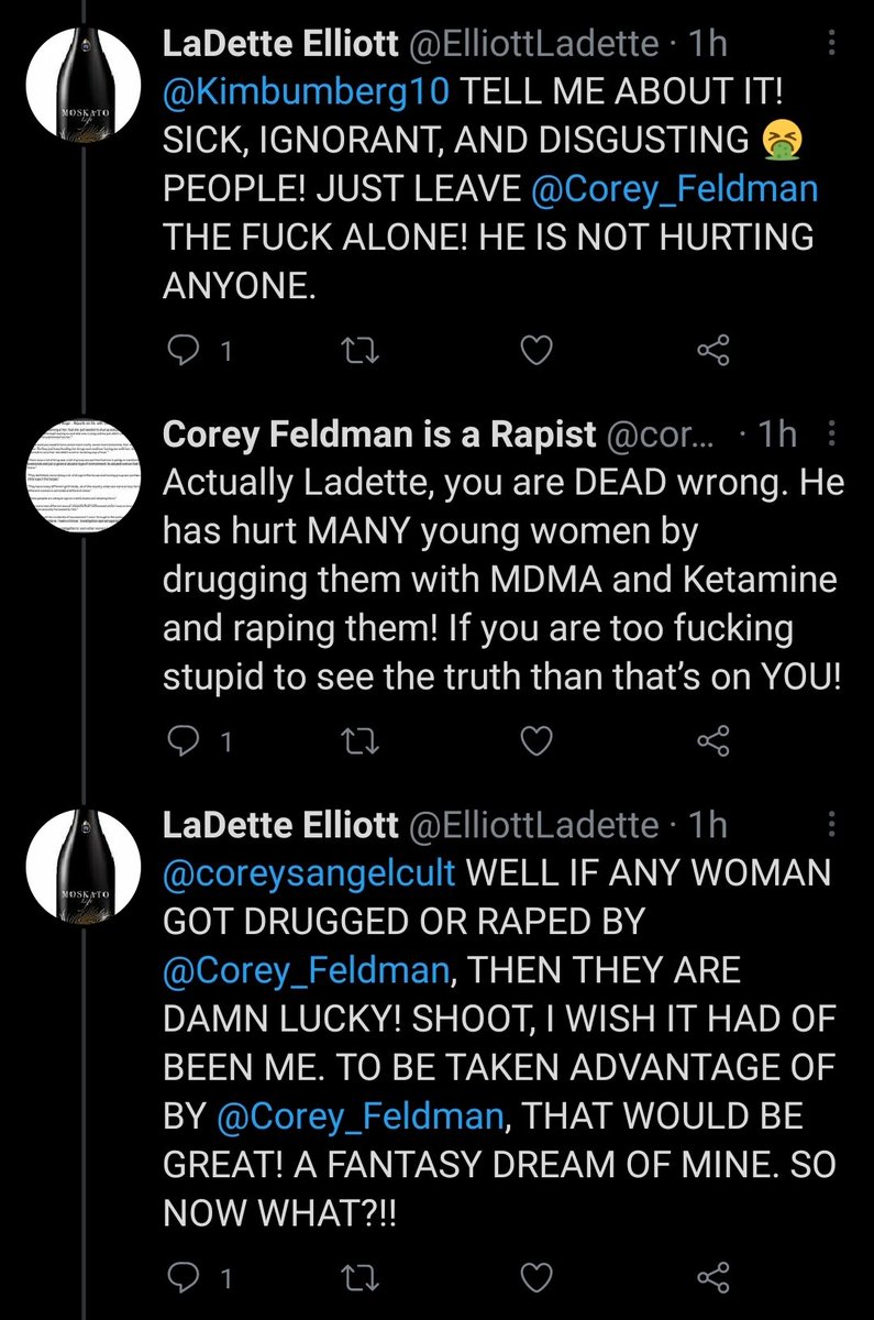 AlwaysSparkle90's tweet photo. What the actual fuck am I reading in these tweets 😳 Ladette you sick sick woman, you clearly need help!! Any woman that was drugged and raped by #CoreyFeldman is damn lucky.... this is the #Feldfam everyone, not only do they condone rape, they think it makes the victim lucky 😡 https://t.co/0Cf55mSS3X