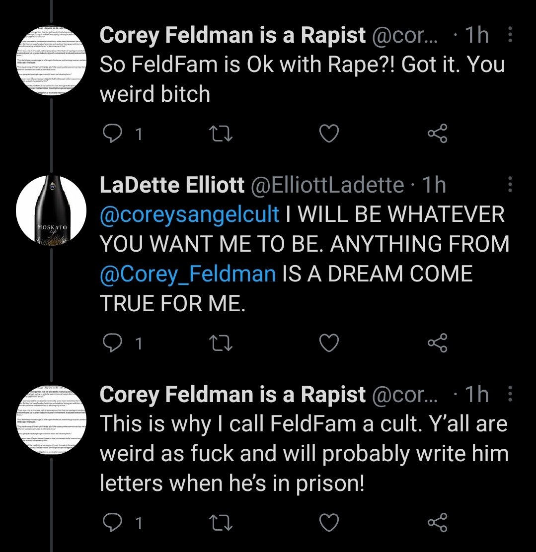 AlwaysSparkle90's tweet photo. What the actual fuck am I reading in these tweets 😳 Ladette you sick sick woman, you clearly need help!! Any woman that was drugged and raped by #CoreyFeldman is damn lucky.... this is the #Feldfam everyone, not only do they condone rape, they think it makes the victim lucky 😡 https://t.co/0Cf55mSS3X