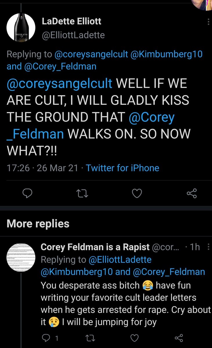 AlwaysSparkle90's tweet photo. What the actual fuck am I reading in these tweets 😳 Ladette you sick sick woman, you clearly need help!! Any woman that was drugged and raped by #CoreyFeldman is damn lucky.... this is the #Feldfam everyone, not only do they condone rape, they think it makes the victim lucky 😡 https://t.co/0Cf55mSS3X