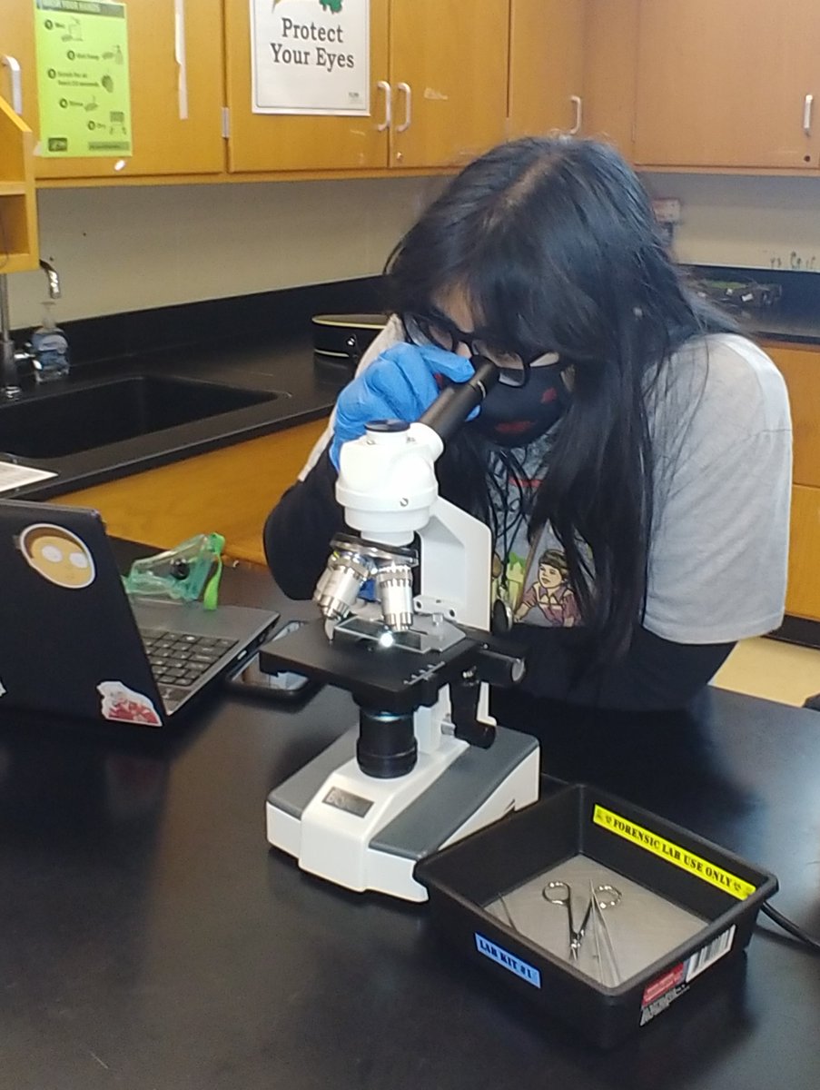 BarlowScience's tweet photo. Trace Evidence Lab Part 3 - Hair Samples! Flipped Lesson Inspired by @Catlin_Tucker #NEISDiTech #NEISDInnovators #NEISD #NEISDTweechers #teacherlife #TRPride #TRForensics #TRScience #ILoveLabDays https://t.co/d34XHsCQq1