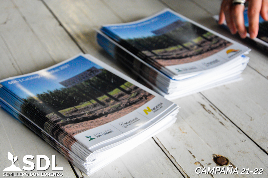 SemilleroSDL's tweet photo. 🌱🌾🌽 CAMPAÑA 21-22: Ya se encuentran disponibles los Catálogos Digitales de semillas Nidera, Don Mario y Macroseed para la campaña 21-22. Podés descargarlos desde el Link 👉 https://t.co/Q7zbdU8Nxt
#SemilleroSDL #Nidera #DonMario #Macroseeds #SojaEnlist #SojaIntacta #Maíz https://t.co/lZTYfTVp2f