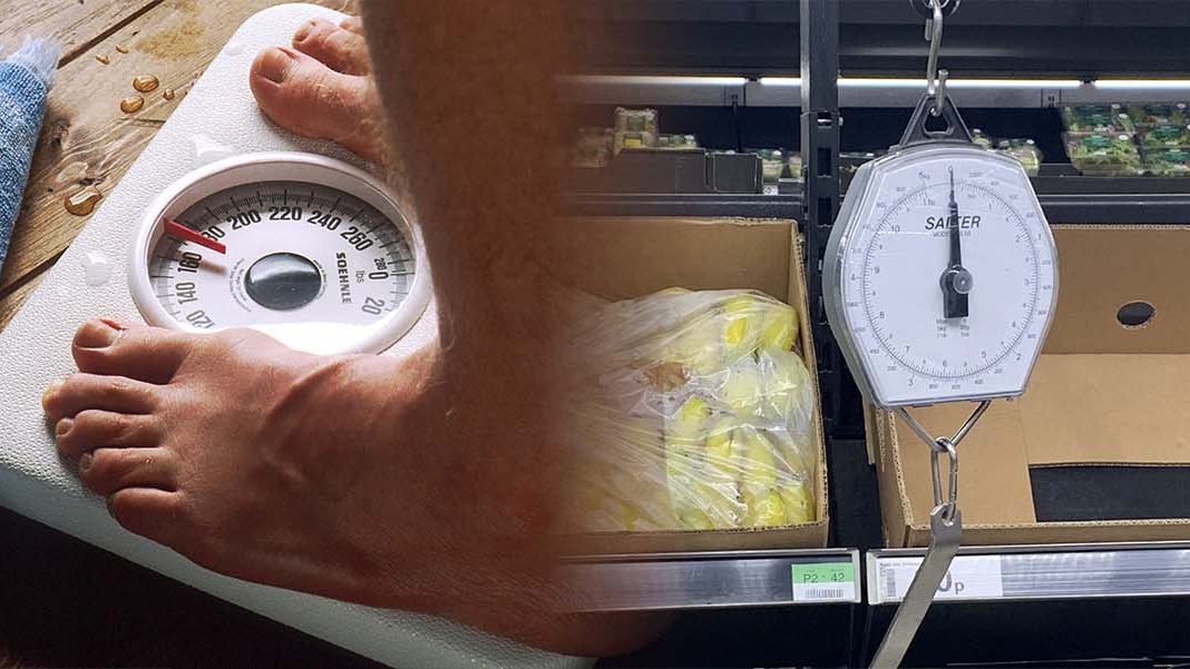 KidizenScience's tweet image. New module posted! The scale in your bathroom or produce aisle? It's likely a #spring balance, whose behavior is defined by Hooke's Law. In this activity, students test the validity of that relationship in springs and other elastic #materials. kidizenscience.com/2021/03/26/hoo…