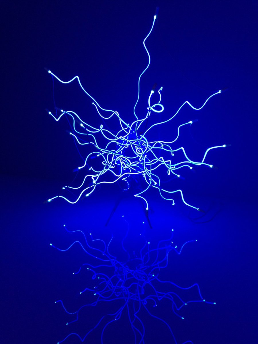 MartenvdMolen's tweet photo. #repost #tentoonstelling Chihuly @groningermuseum #april2019  #museumlockdown #throwbackmuseum @museumkaart @ChihulyStudio https://t.co/1q4CFDxZkV