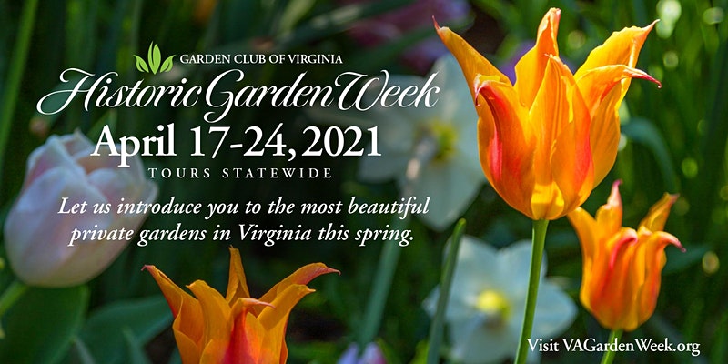 mmmg_more's tweet photo. Apr 17 - Apr 24, 2021 Tickets are now available for Historic Garden Week!  Get yours reserved today, no tickets will be available on the day of the tour.  Don't miss this beautiful event!  We hope to see you in the Gardens. #Gardens #Museums #Virginia 
 https://t.co/GTUshfhrBf... https://t.co/gJi6TsRtYm
