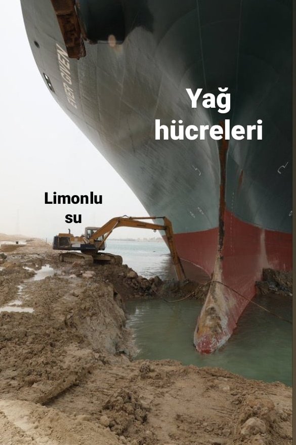 heydiyetisyen's tweet photo. Limonlu su yağ hücreleri ile mücadele ediyor https://t.co/WPU85GpEFd