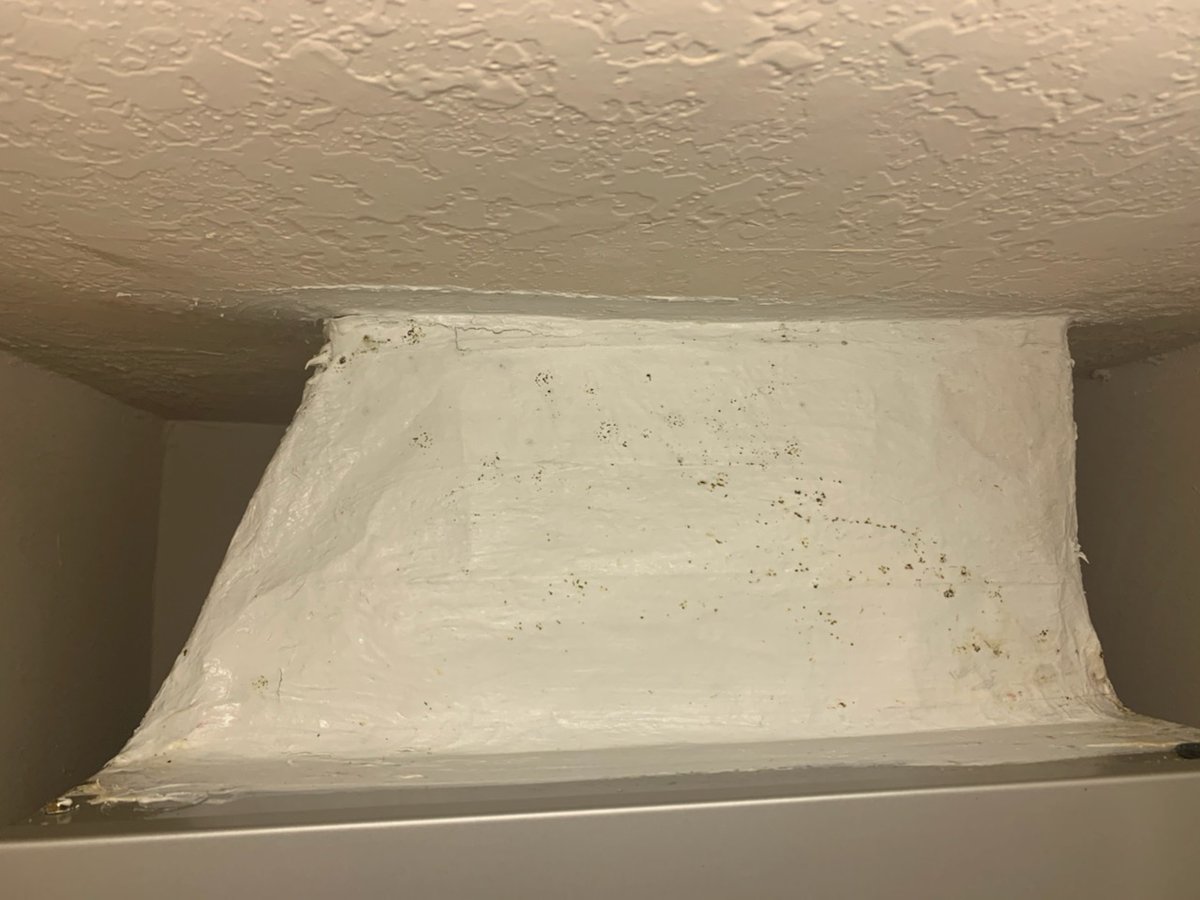 O2Wizard's tweet photo. Mold - Before and After https://t.co/i3Tf9CHQAk