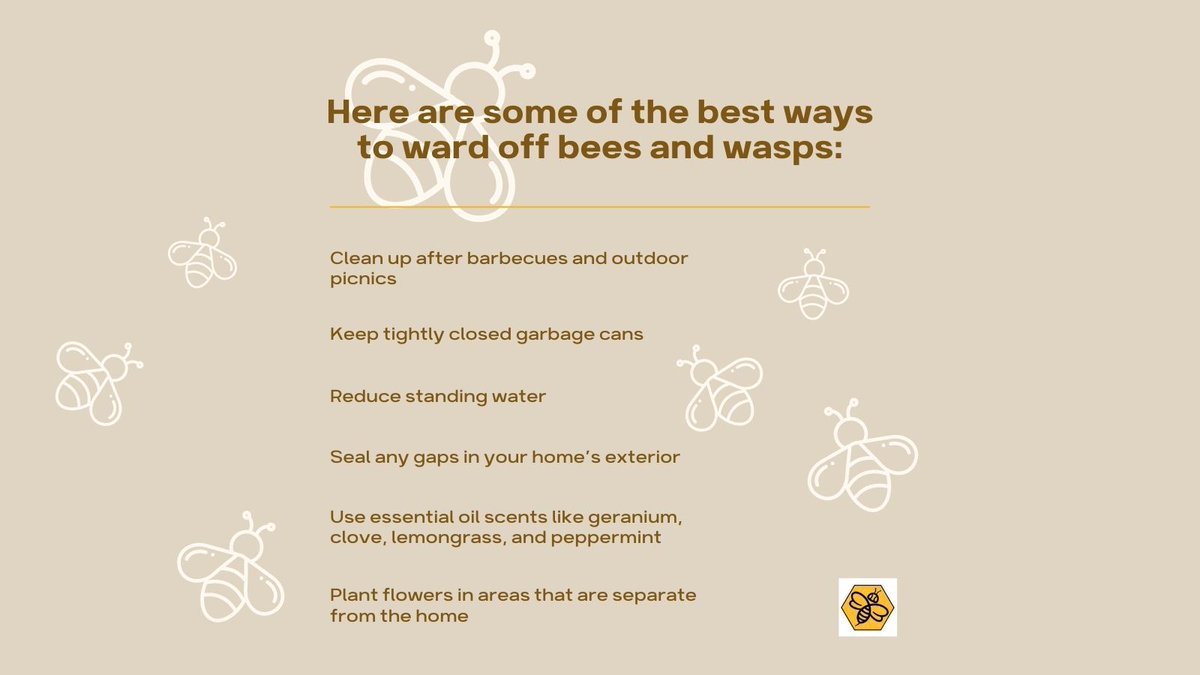 BeeManBuzz's tweet photo. Here are a few preventative measures that you can take to make your home less attractive to bees and wasps.
#TheBeeMan #beemanbuzz #beeremoval #waspremoval #yellowjacketremoval #beeremovalandrelocation #beeremovalOrangeCounty #waspremovalOrangeCounty https://t.co/7DoYwq8AMa
