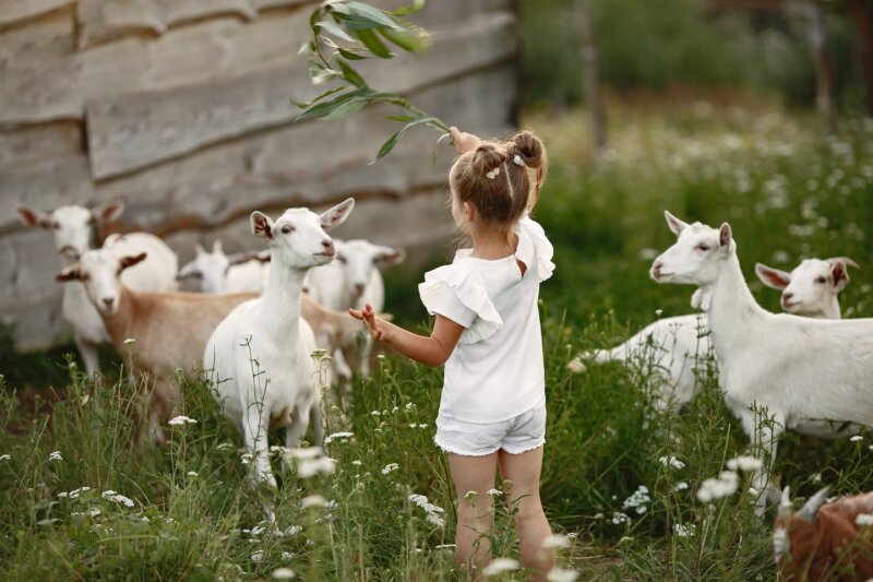 NoticiasdeCampo's tweet photo. De Benitas y Olivers https://t.co/7s8myQHsTC Vía👉 @HorizonteA https://t.co/wEMJLs0XEI