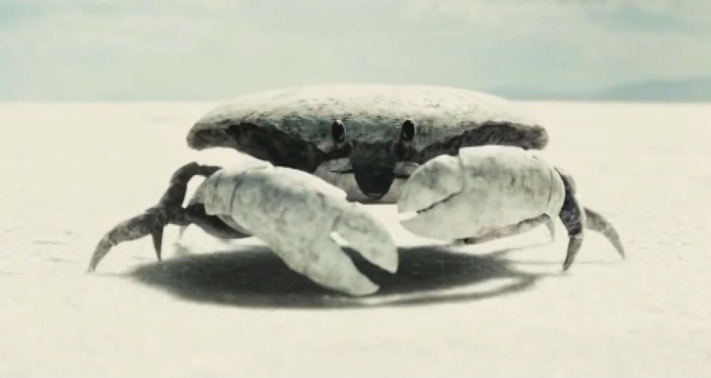 Jake_Highleyman's tweet photo. Ummmmmmm. Like. Does nobody remember Pirates of the Caribbean 3????? Just hire a few of these crabby bois and there’d be no problem https://t.co/P2I1RhN5b2