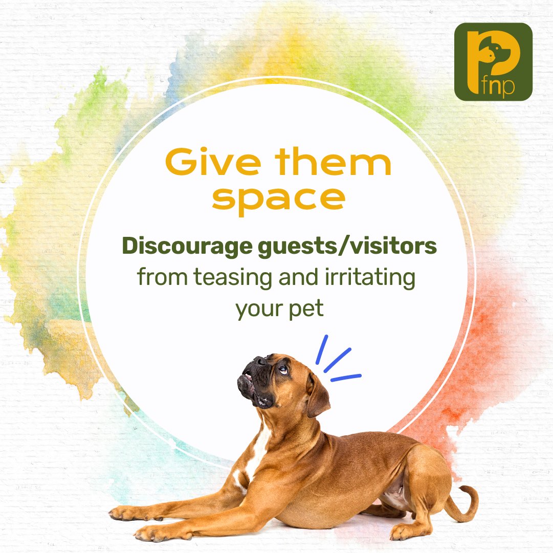 FNPPETS's tweet photo. While you love hosting holi parties, your dog may not. If your dog is nervous or irritable around guests, allow him to be in a secluded area at home with 0 disturbance. Give him a treat, water &amp; a bone to keep him occupied. Make it a happy and #SafeHoliWithFnP! ❤️
#pets https://t.co/oKezQfMN3a