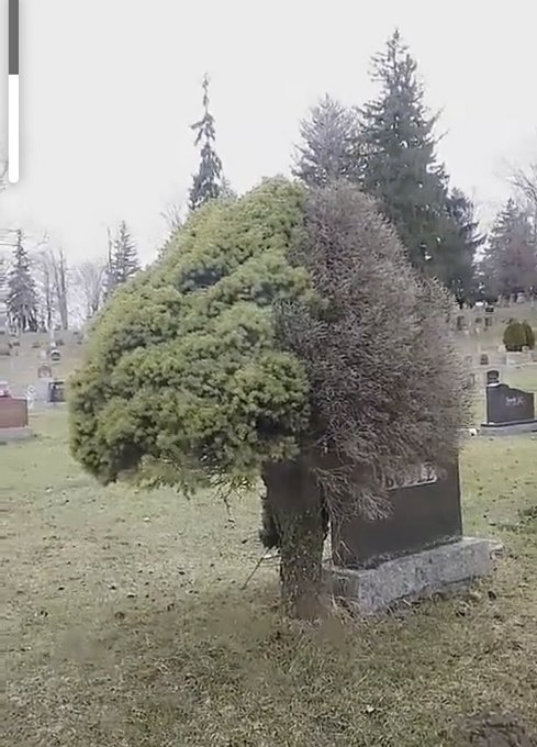 How dead inside are you? https://t.co/Vt5Sq9Nutn