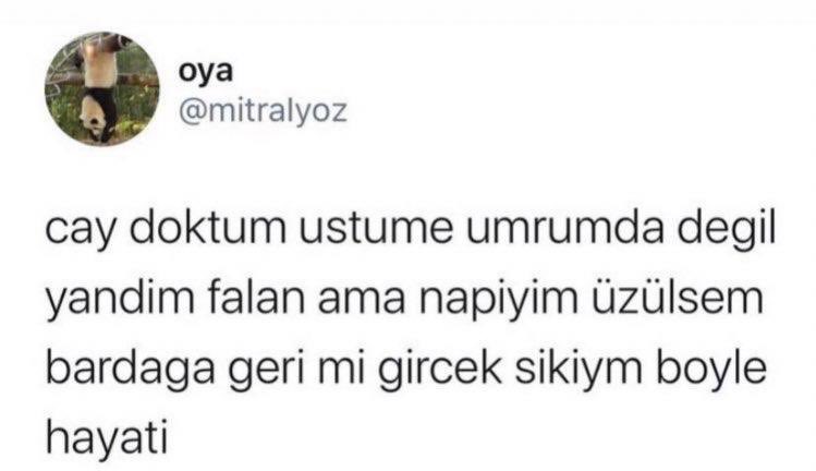 4geik memes (@cokiyikufur) on Twitter photo 