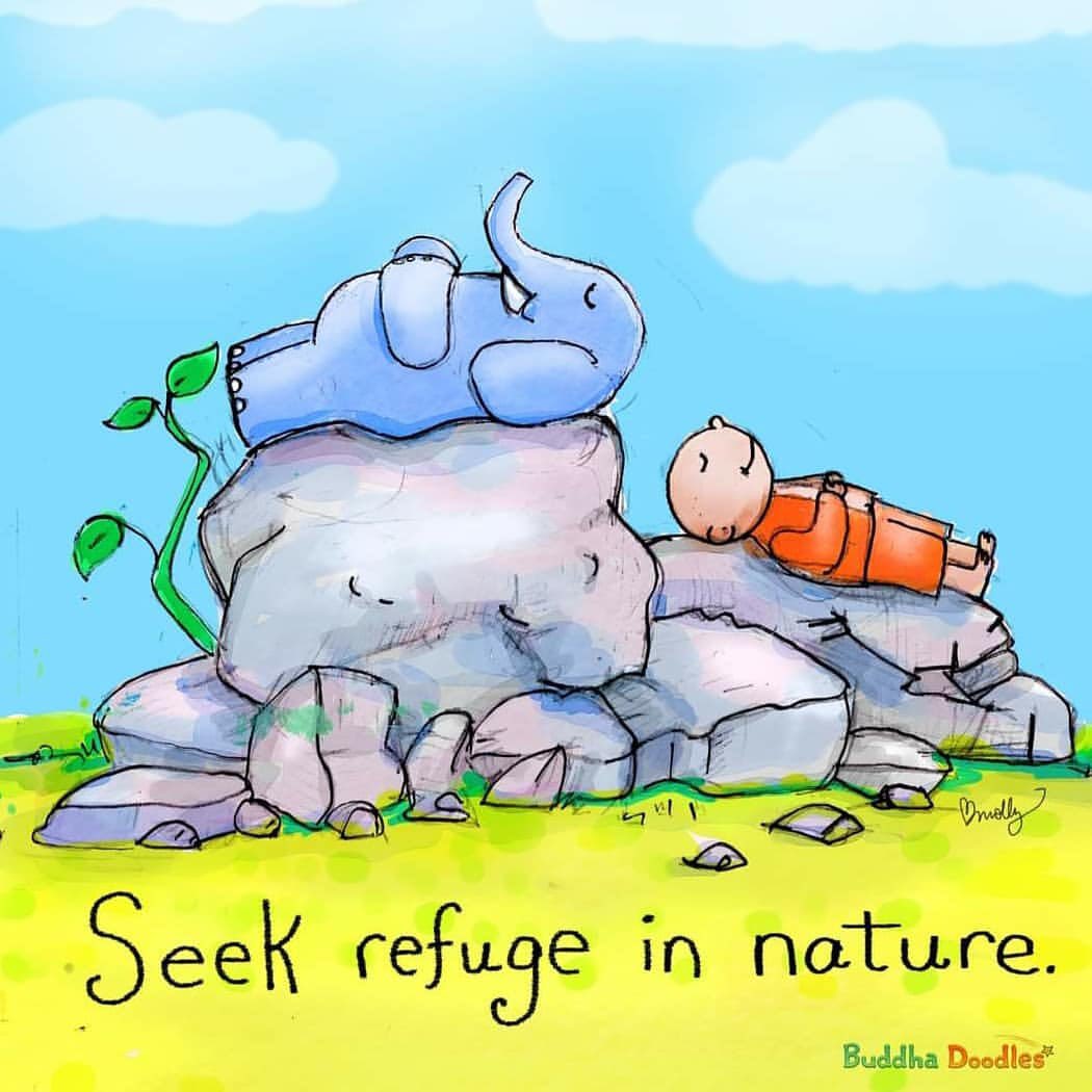 actionhappiness's tweet photo. Thought for the weekend: Seek refuge in nature 🌿🌤

Image: @BuddhaDoodles https://t.co/w8iYlkcNA7
