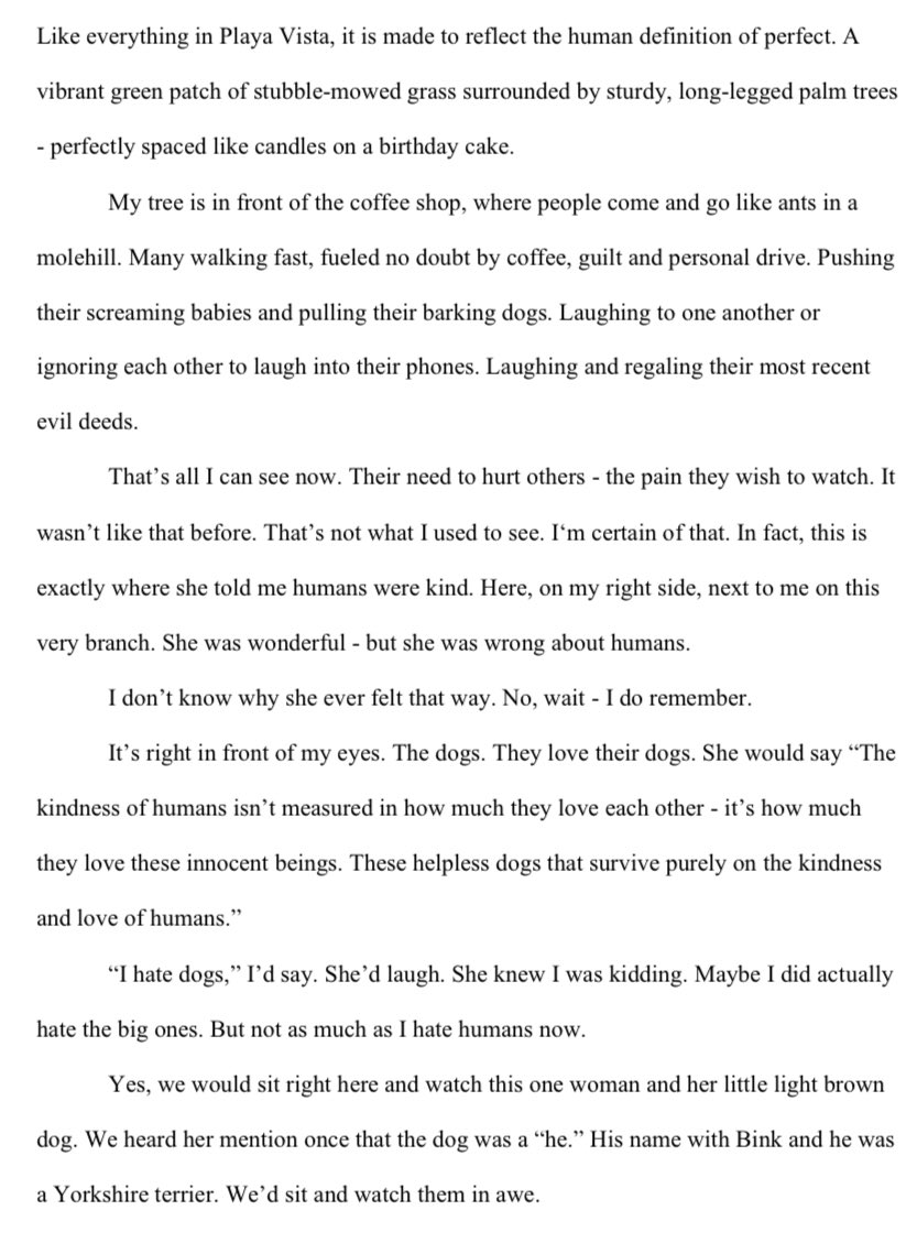 WriterRajpal's tweet photo. The first two chapters of my new book. I believe that putting it all out there will bring good things back. #writerskarma #WritingCommunity #amwriting #writer #writerslift #AuthorYetToBeKnown #Authors #author https://t.co/3syA3yr0ps
