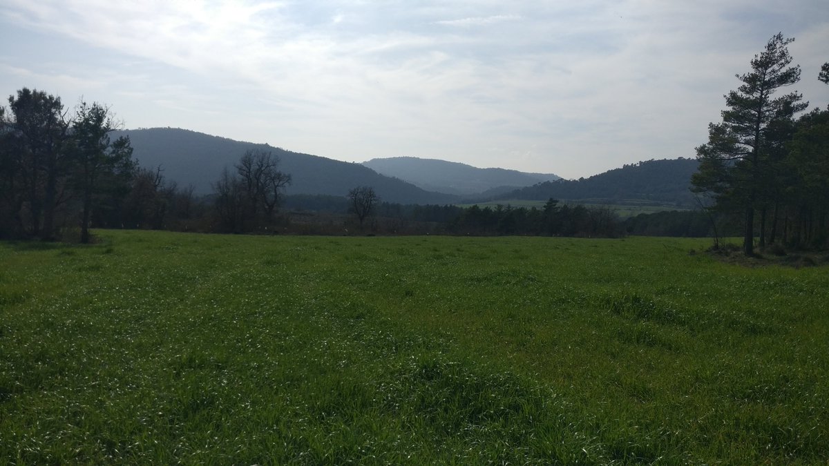 ProtegimMoianes's tweet photo. ⚠️⚠️En ple PEIN del #Moianès, al pla del Boix d'@AjMoia, s'estan llaurant prats naturals d'elevadíssim interès per a la conservació (hàbitats d'Interès Comunitari PRIORITARIS) per transformar-los de forma irreversible en monocultius farratgers. RT x
pq se sàpiga🙏! @territoricat https://t.co/Hs1GPvXz1D