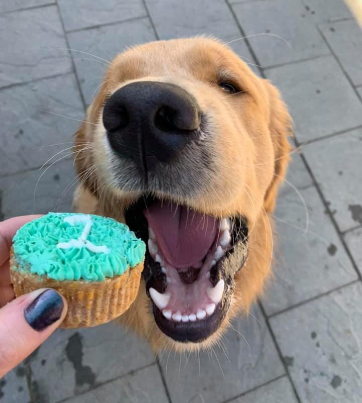 First Citizens' FCU tweet media