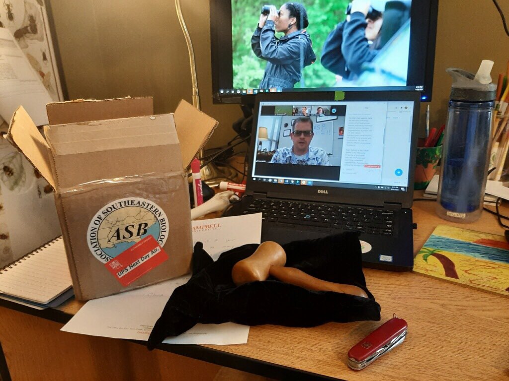 Is this the beginning of the Chris Brown presidency in ASB? The gavel made it to Lawrenceville, GA and has been unboxed by our ASB President-Elect.

Join us LIVE at 4pm Eastern for the ASB awards ceremony and to meet your new EC! #ASB2021 #ASBVirtual