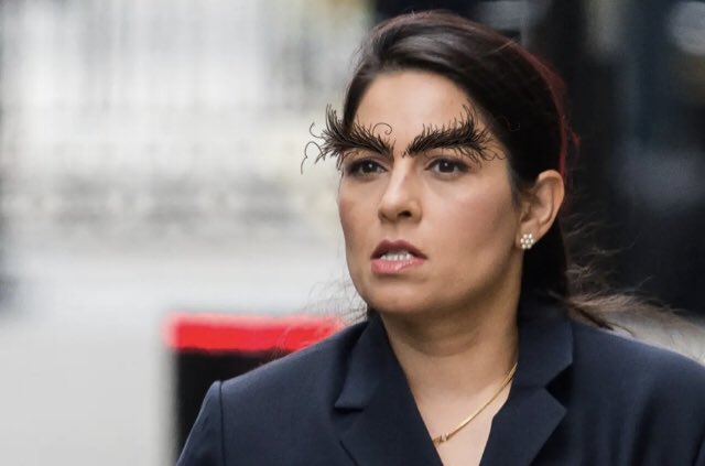 kennyarnold1997's tweet photo. £77k on your eyebrows to look Priti ... but you can’t make a soul less ugly. #PritiPatel #ToryCorruption #beautifulbrows #eyebrows #procurement #HomeOffice https://t.co/wLvyVdmCW7