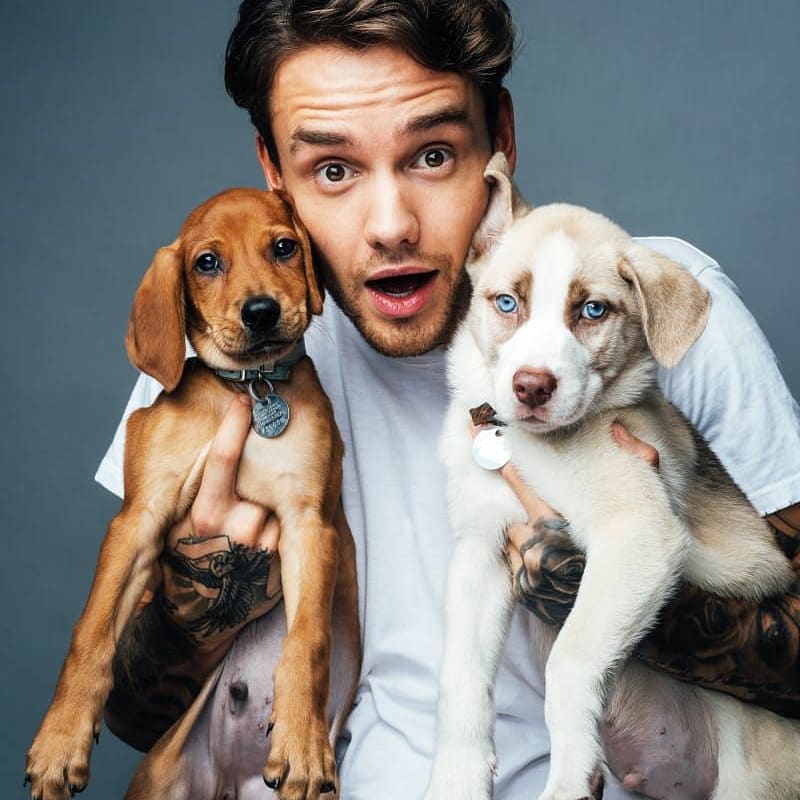PicardZora's tweet photo. #protectliam
#protectliam 
Liam always make us happy !
But his management is so bad with him...
#weloveyouliam
@LiamPayne https://t.co/S1k8hiBW5p