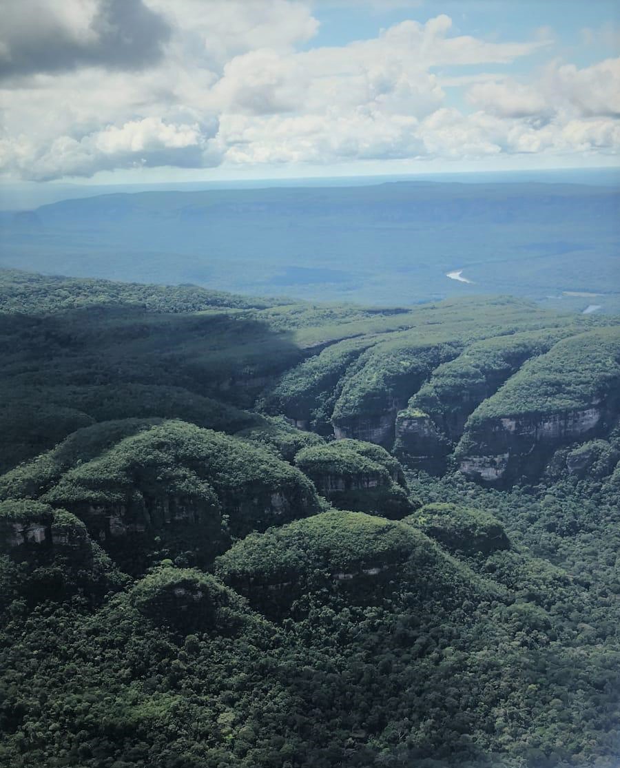 Quieres trabajar con nosotros por los Bosques de Colombia? En el marco de la Iniciativa Internacional de Clima y Bosque, la Embajada de Noruega busca un asesor local. Conoce los detalles en: norway.no/es/colombia/no…