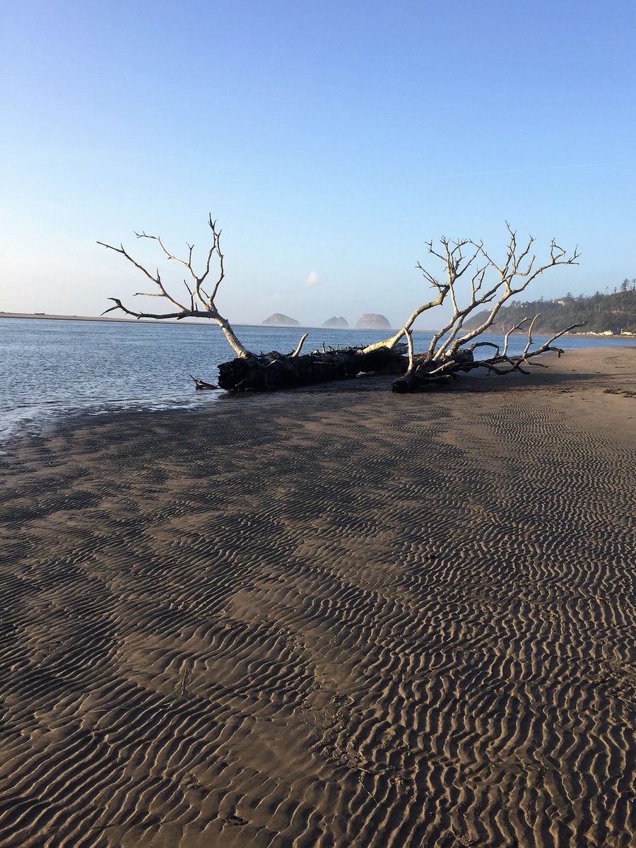 The textures and colors of Netarts Bay never disappoint. #NetartsBay #OregonCoast
