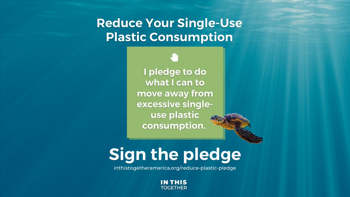 Single-use plastics that aren't recycled are filling up our oceans, lakes, rivers and landfill.

Join us in our pledge to cut down on single-use plastics and end plastic pollution!

➡️ bit.ly/399f5cT 

#plasticpollution #plasticpledge #inthistogether