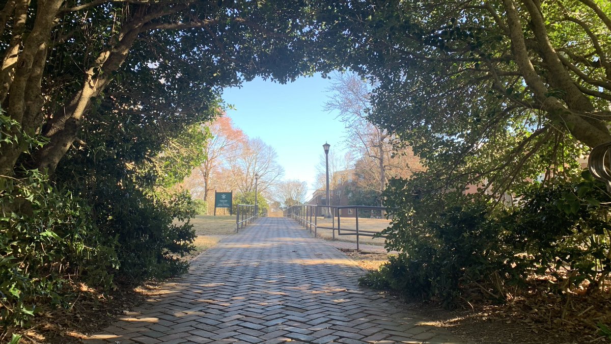 williamandmary's tweet photo. This shady respite is a breath of fresh air as you make the trek up to @WMLibraries! #wmInSpring https://t.co/Z7UsSRo0Aj