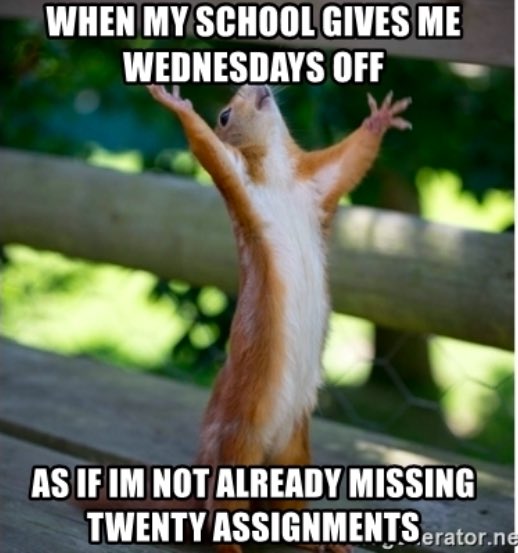 TimLuvsDaLakers's tweet photo. Anyone else still deep in missing assignments? #WednesdayWoes #MCO335 https://t.co/5Qo3We35WU