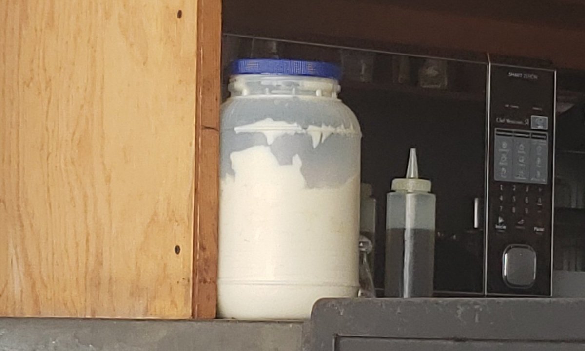Spacul8r's tweet photo. How much to eat the rest of this 75°f tub of mayonnaise? #onlyspoons. https://t.co/tyq8qQnQtV