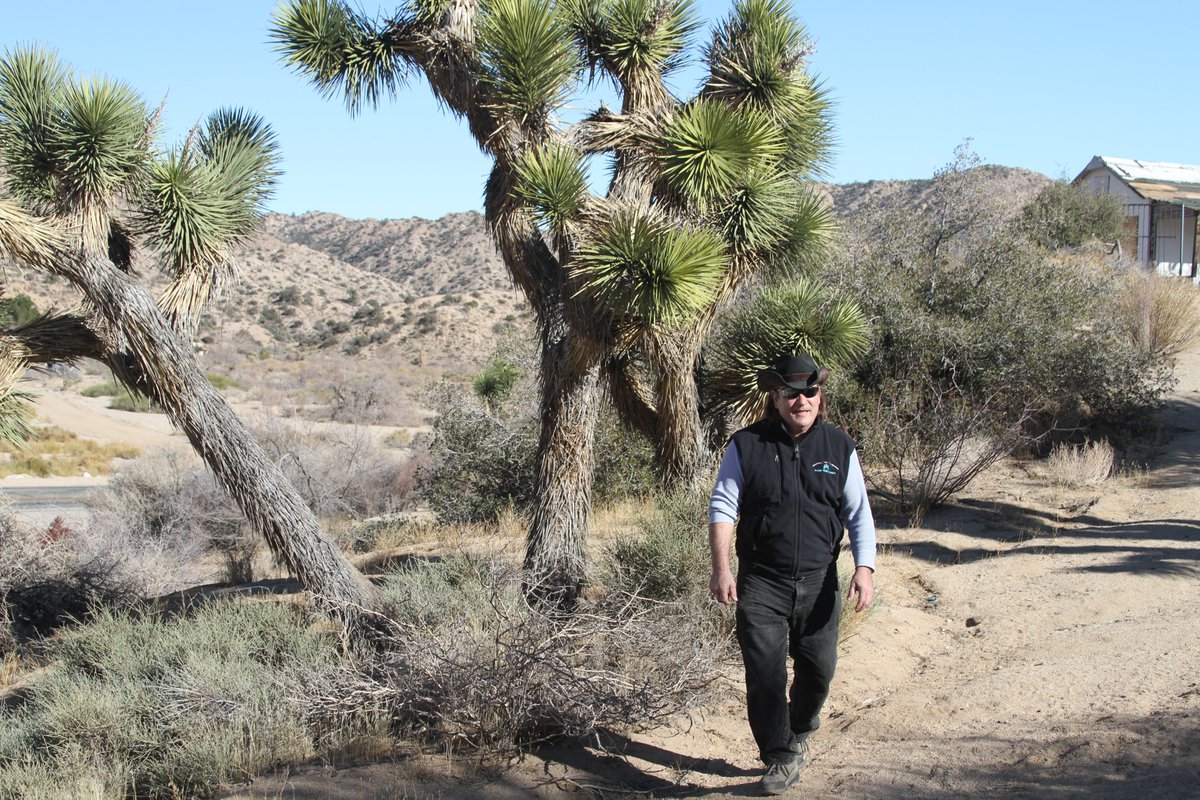 ah, the ol' Joshua Tree compound... refuge from the contemporary!