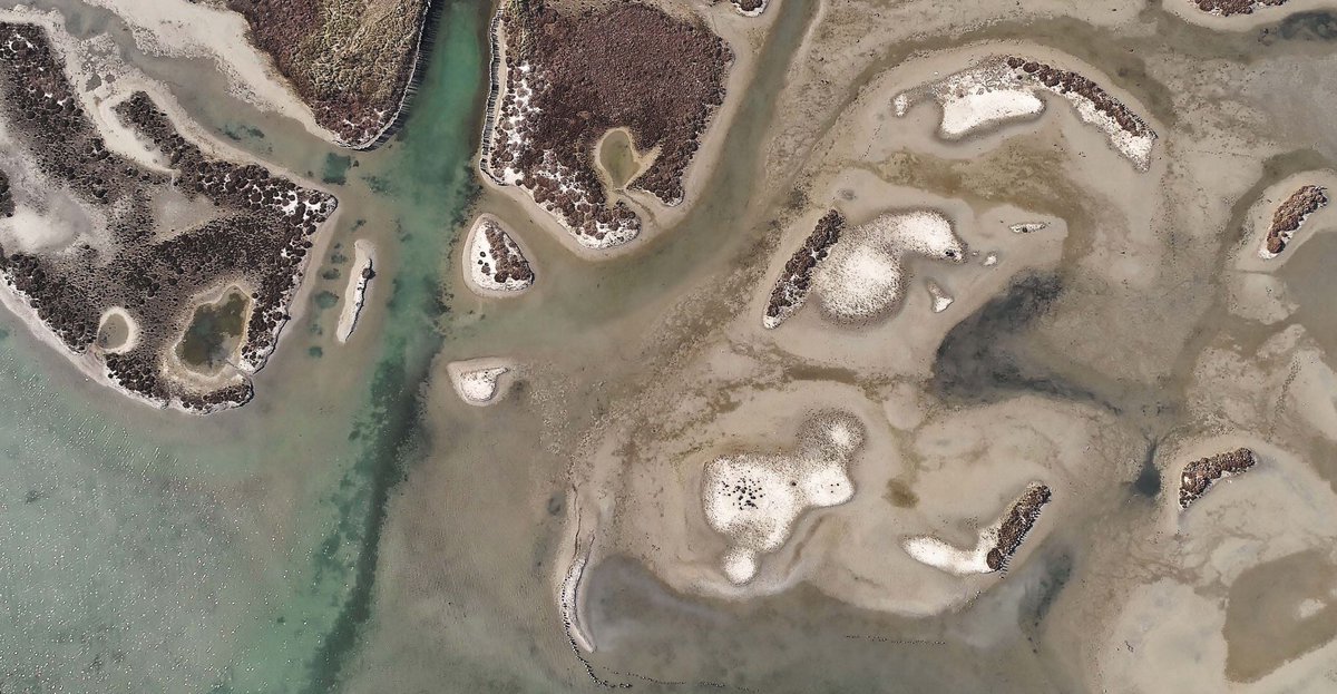6thRMQG's tweet photo. The new circular for the 6th Regional Meeting on Quaternary Geology is online! Check it out at https://t.co/AfblK19qK2 and hope to see you in September! https://t.co/2Kiu9oJOm1