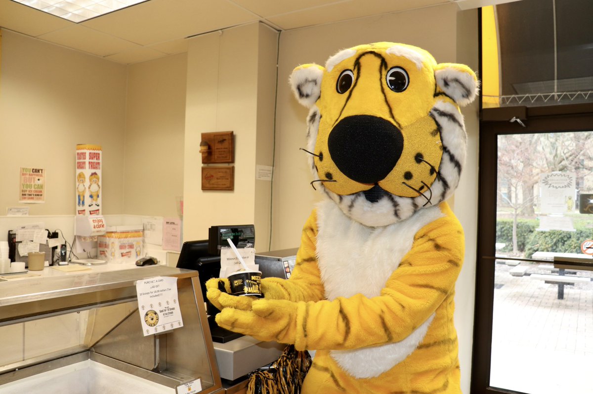 TrumanTiger_MU's tweet photo. I had so much fun visiting @cafnr yesterday! 

My favorite part was making my own flower arrangement at @MUTigerGarden — but I also ate a ton of ice cream at Buck’s! (Can you blame me?) 

#MIZ 🐯💛 https://t.co/nqyIBsYRCa
