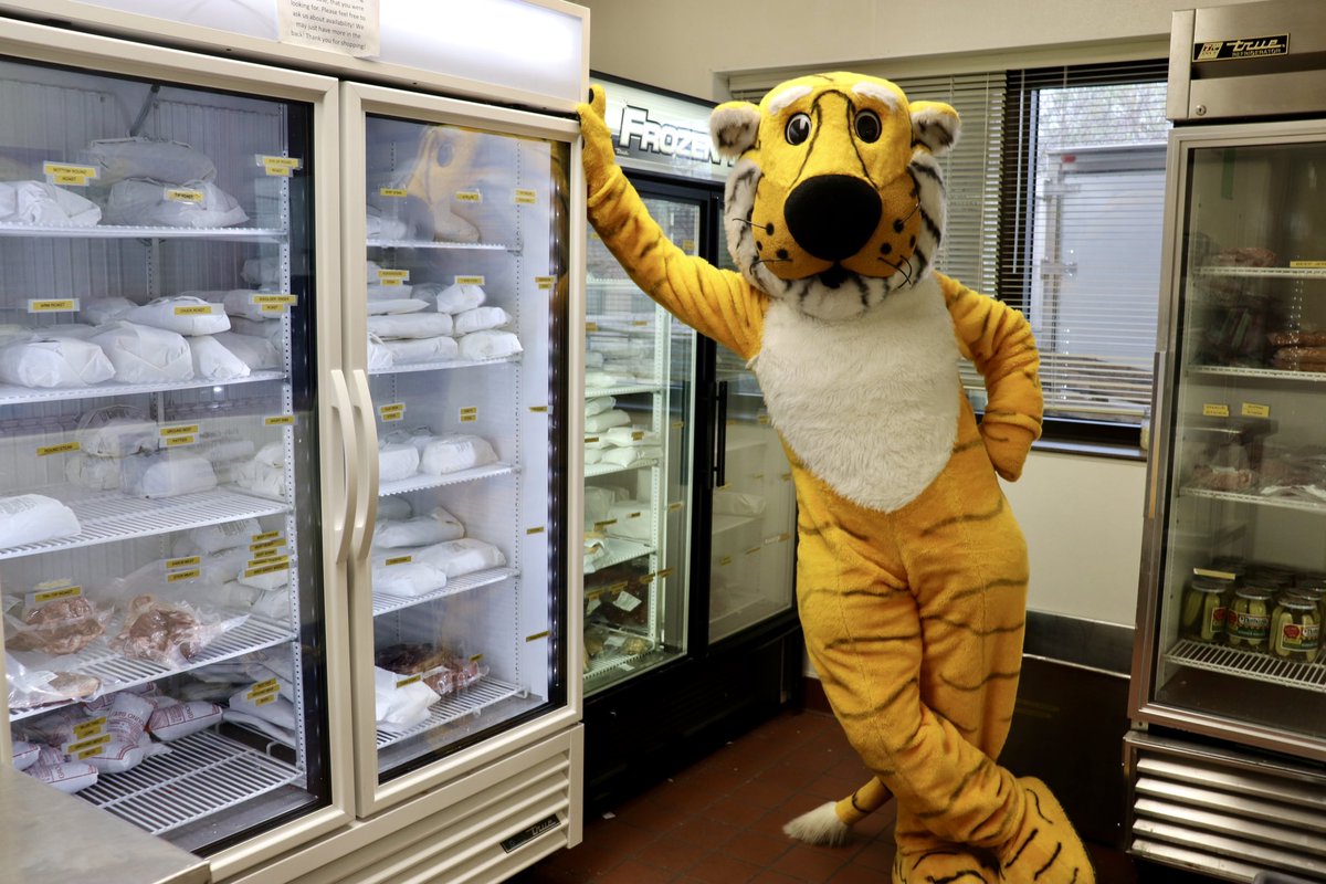 TrumanTiger_MU's tweet photo. I had so much fun visiting @cafnr yesterday! 

My favorite part was making my own flower arrangement at @MUTigerGarden — but I also ate a ton of ice cream at Buck’s! (Can you blame me?) 

#MIZ 🐯💛 https://t.co/nqyIBsYRCa