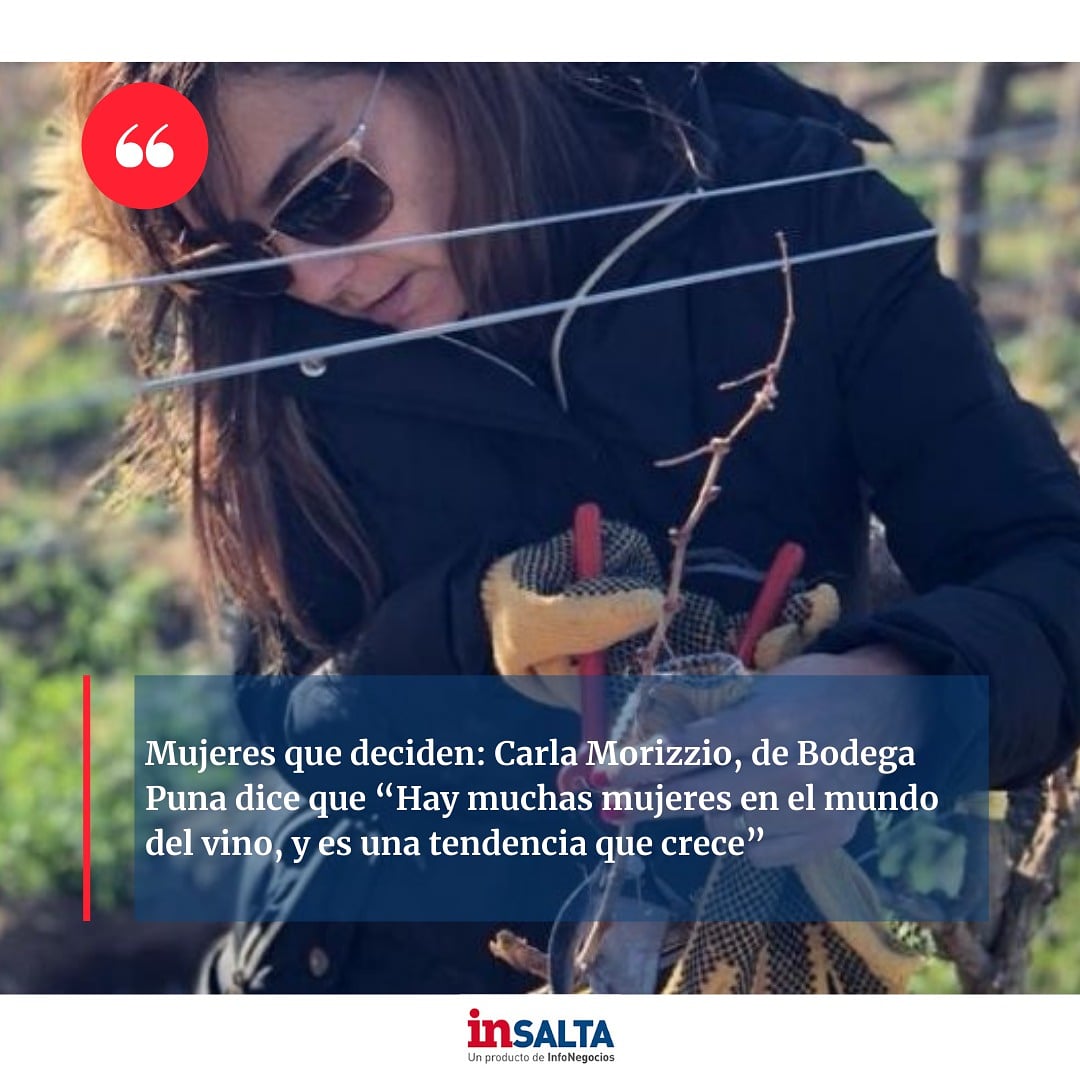 InfoInsalta's tweet photo. Mujeres que deciden: Carla Morizzio, de Bodega Puna dice que “Hay muchas mujeres en el mundo del vino, y es una tendencia que crece”.
La empresaria destacó la calidad y particularidades de los vinos que se producen en la zona de Cachi.
https://t.co/9smvxTNObp https://t.co/SWvRUVLo86